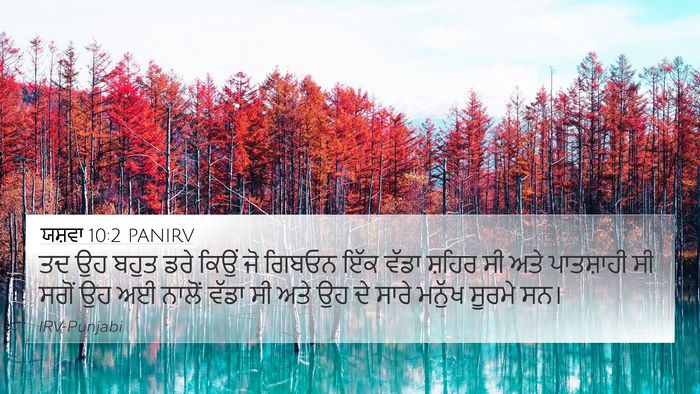 ਯਸ਼ਵਾ 10:2 PANIRV Bible Verse Image