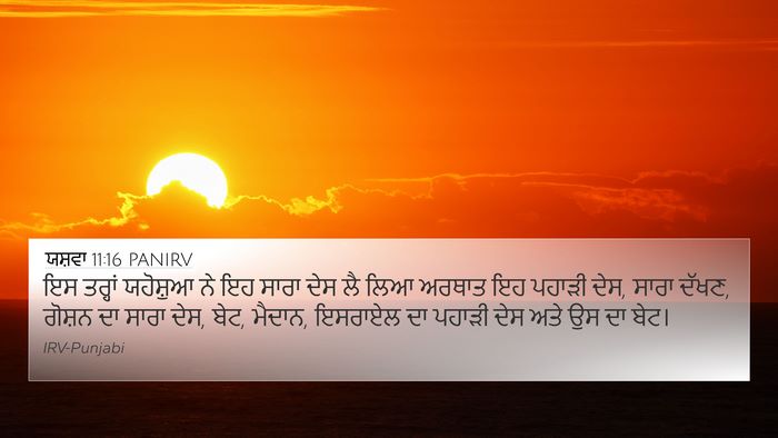 ਯਸ਼ਵਾ 11:16 PANIRV Bible Verse Image