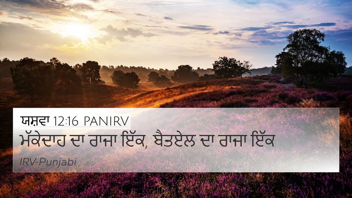 ਯਸ਼ਵਾ 12:16 PANIRV 4K Wallpaper - ਮੱਕੇਦਾਹ ਦਾ ਰਾਜਾ - 4K Wallpaper Bible Verse