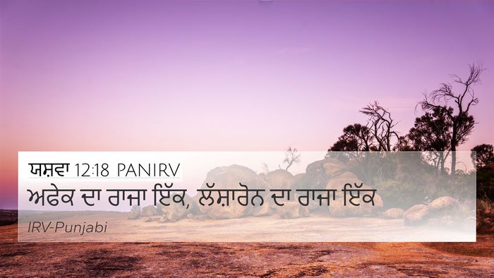 ਯਸ਼ਵਾ 12:18 PANIRV 4K Wallpaper - ਅਫੇਕ ਦਾ ਰਾਜਾ ਇੱਕ, - 4K Wallpaper Bible Verse