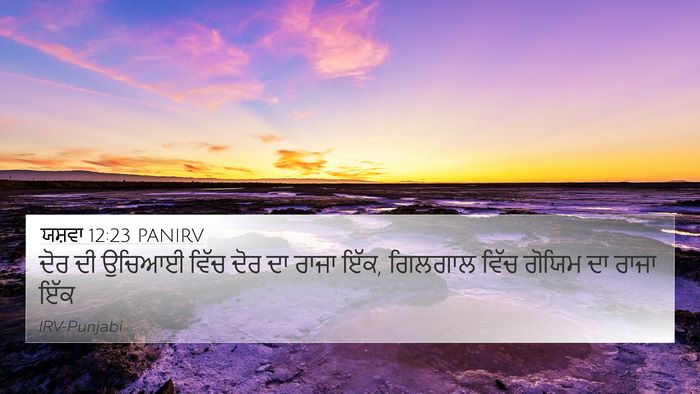 ਯਸ਼ਵਾ 12:23 PANIRV Bible Verse Image