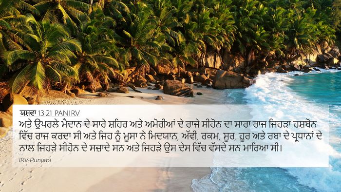 ਯਸ਼ਵਾ 13:21 PANIRV Bible Verse Image