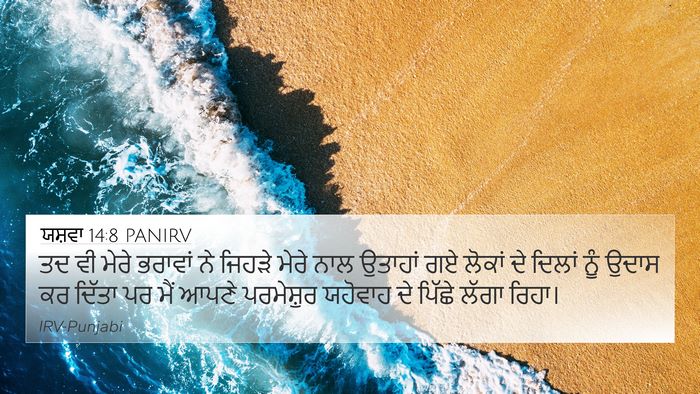 ਯਸ਼ਵਾ 14:8 PANIRV Bible Verse Image