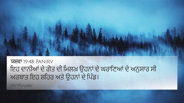 ਯਸ਼ਵਾ 19:48 PANIRV 4K Wallpaper - ਇਹ ਦਾਨੀਆਂ ਦੇ ਗੋਤ ਦੀ - 4K Wallpaper Bible Verse