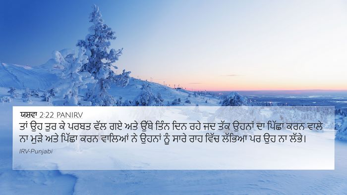 ਯਸ਼ਵਾ 2:22 PANIRV Bible Verse Image