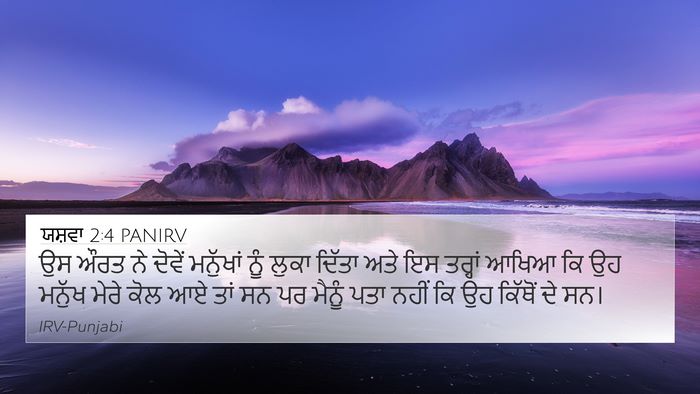 ਯਸ਼ਵਾ 2:4 PANIRV Bible Verse Image