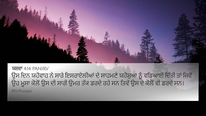 ਯਸ਼ਵਾ 4:14 PANIRV Bible Verse Image