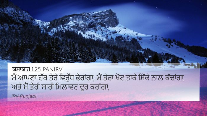 ਯਸਾਯਾਹ 1:25 PANIRV Bible Verse Image