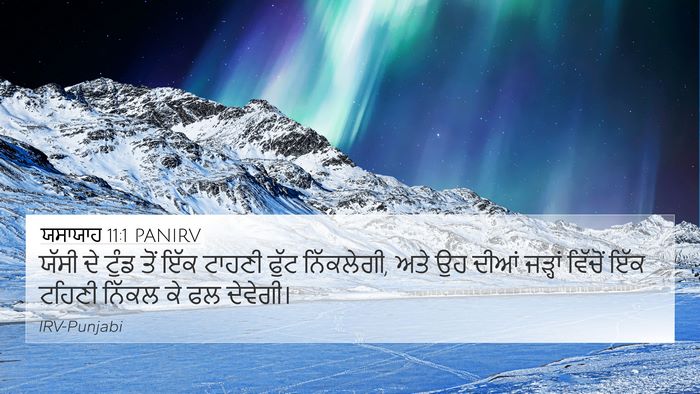 ਯਸਾਯਾਹ 11:1 PANIRV Bible Verse Image