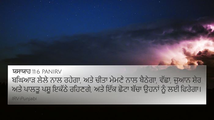 ਯਸਾਯਾਹ 11:6 PANIRV Bible Verse Image