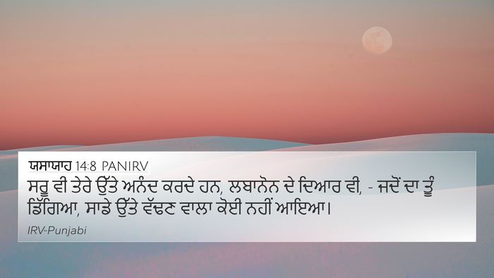 ਯਸਾਯਾਹ 14:8 PANIRV Bible Verse Image
