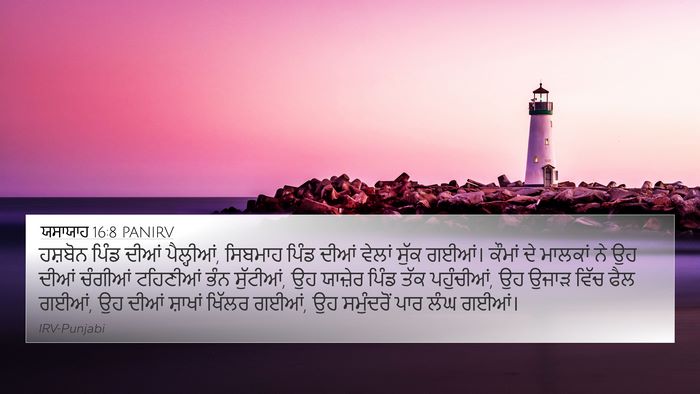 ਯਸਾਯਾਹ 16:8 PANIRV Bible Verse Image
