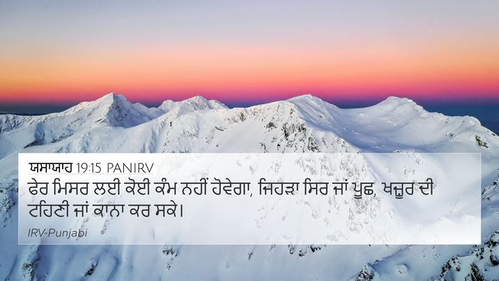 ਯਸਾਯਾਹ 19:15 PANIRV Bible Verse Image
