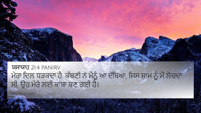 ਯਸਾਯਾਹ 21:4 PANIRV Bible Verse Image
