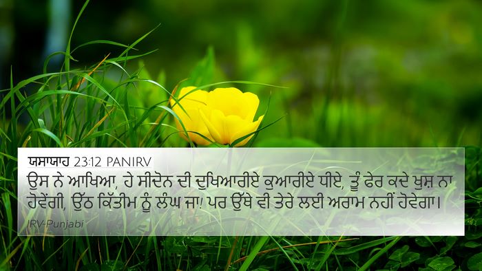 ਯਸਾਯਾਹ 23:12 PANIRV Bible Verse Image
