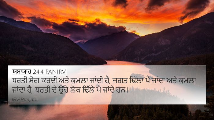 ਯਸਾਯਾਹ 24:4 PANIRV Bible Verse Image