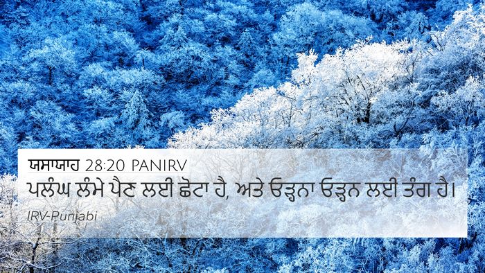 ਯਸਾਯਾਹ 28:20 PANIRV Bible Verse Image
