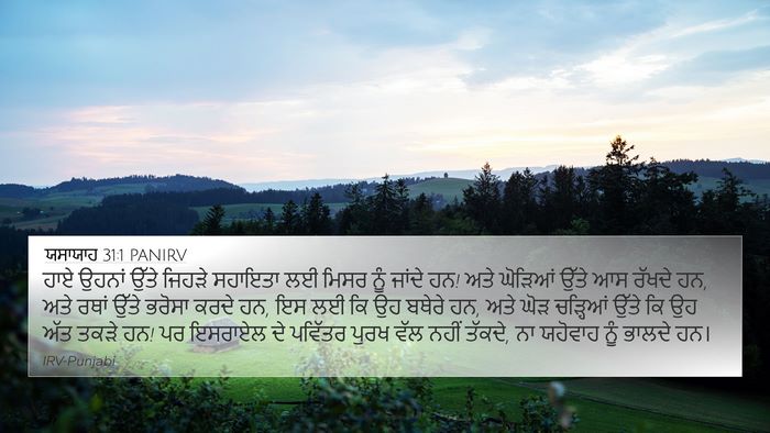 ਯਸਾਯਾਹ 31:1 PANIRV Bible Verse Image