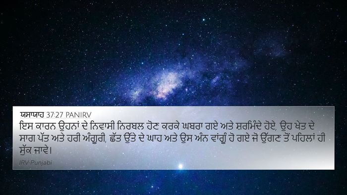 ਯਸਾਯਾਹ 37:27 PANIRV Bible Verse Image
