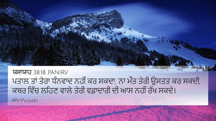ਯਸਾਯਾਹ 38:18 PANIRV Bible Verse Image