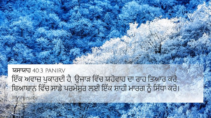 ਯਸਾਯਾਹ 40:3 PANIRV Bible Verse Image