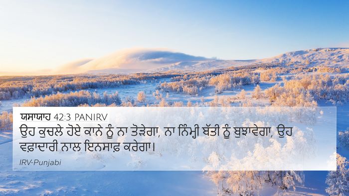 ਯਸਾਯਾਹ 42:3 PANIRV Bible Verse Image