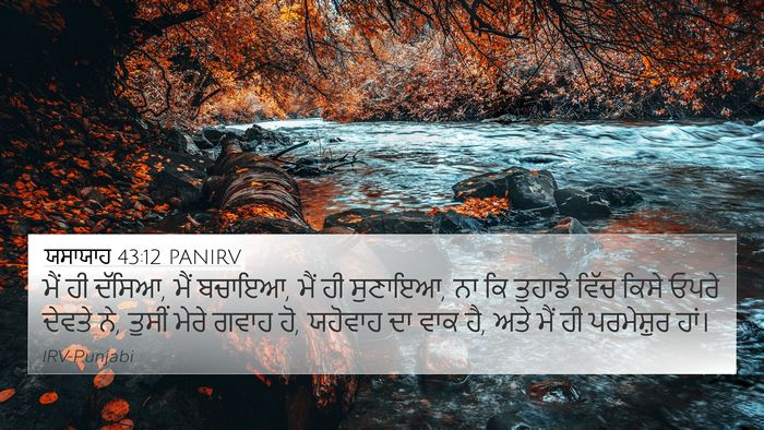 ਯਸਾਯਾਹ 43:12 PANIRV Bible Verse Image