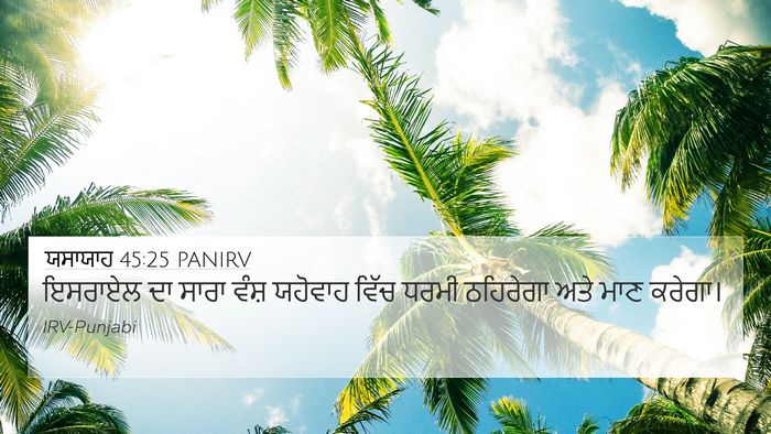 ਯਸਾਯਾਹ 45:25 PANIRV Bible Verse Image