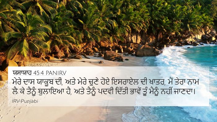 ਯਸਾਯਾਹ 45:4 PANIRV Bible Verse Image