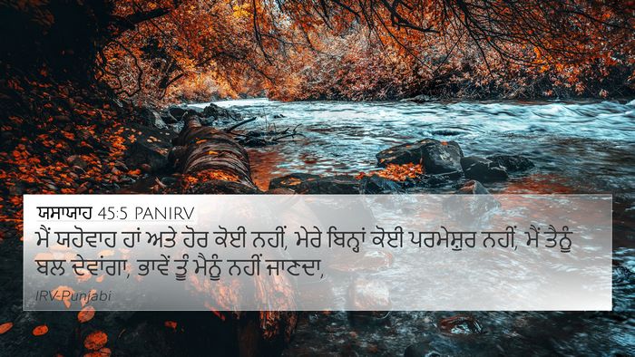 ਯਸਾਯਾਹ 45:5 PANIRV Bible Verse Image