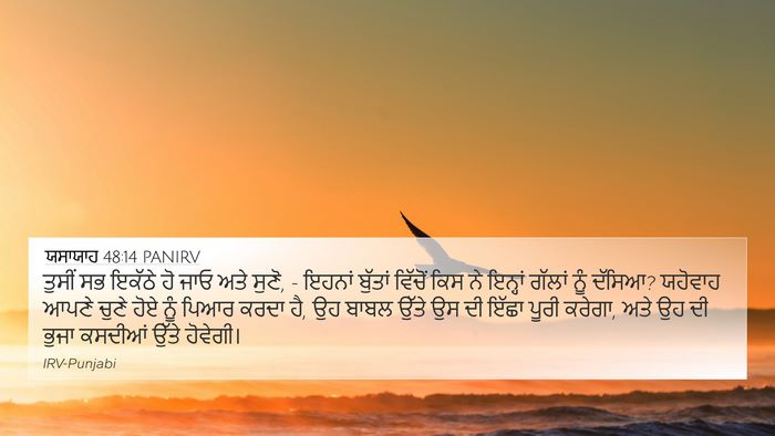 ਯਸਾਯਾਹ 48:14 PANIRV Bible Verse Image