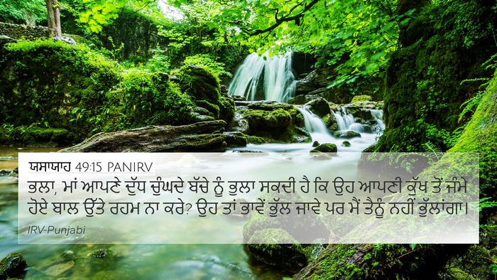 ਯਸਾਯਾਹ 49:15 PANIRV Bible Verse Image