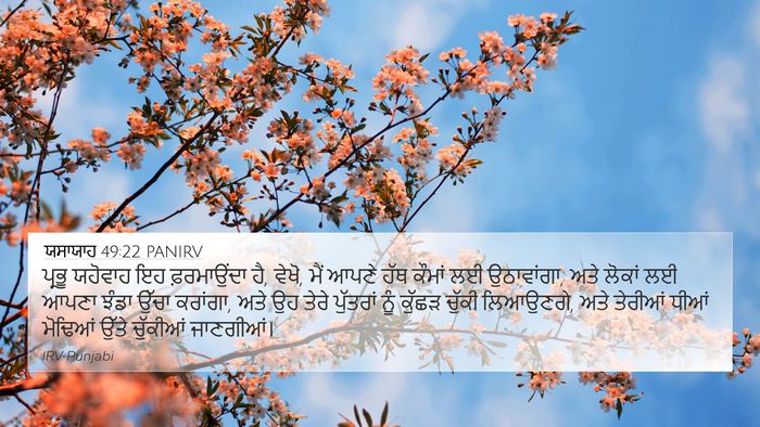 ਯਸਾਯਾਹ 49:22 PANIRV Bible Verse Image