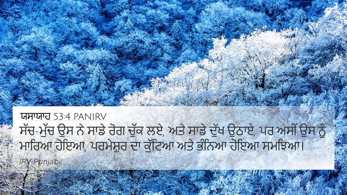 ਯਸਾਯਾਹ 53:4 PANIRV Bible Verse Image
