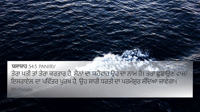 ਯਸਾਯਾਹ 54:5 PANIRV Bible Verse Image