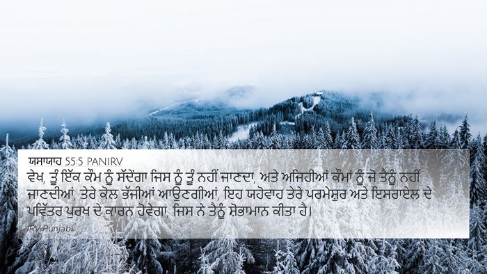 ਯਸਾਯਾਹ 55:5 PANIRV Bible Verse Image