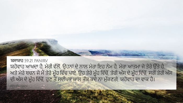 ਯਸਾਯਾਹ 59:21 PANIRV Bible Verse Image