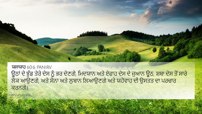ਯਸਾਯਾਹ 60:6 PANIRV Bible Verse Image
