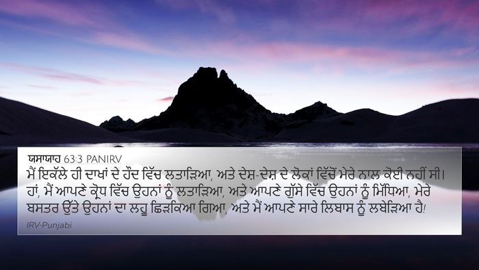 ਯਸਾਯਾਹ 63:3 PANIRV Bible Verse Image