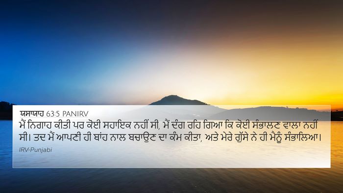 ਯਸਾਯਾਹ 63:5 PANIRV Bible Verse Image