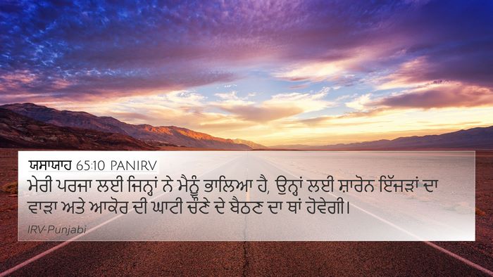 ਯਸਾਯਾਹ 65:10 PANIRV Bible Verse Image