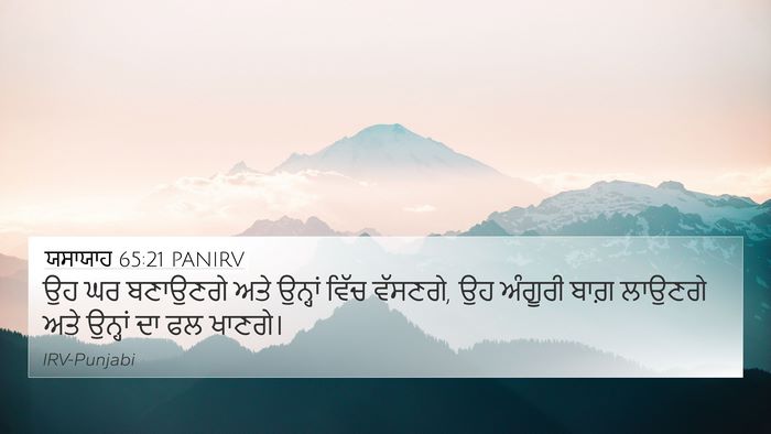 ਯਸਾਯਾਹ 65:21 PANIRV Bible Verse Image