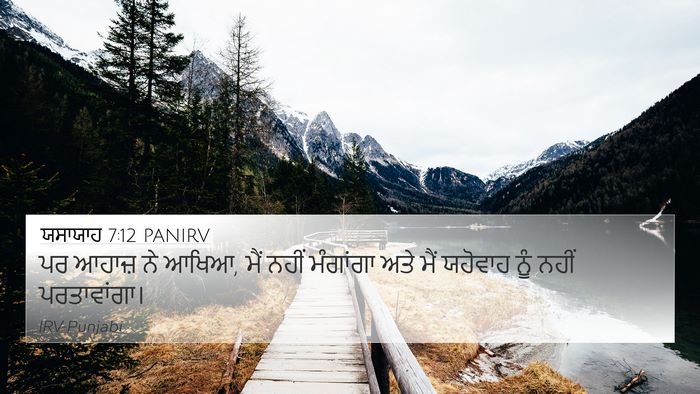 ਯਸਾਯਾਹ 7:12 PANIRV Bible Verse Image