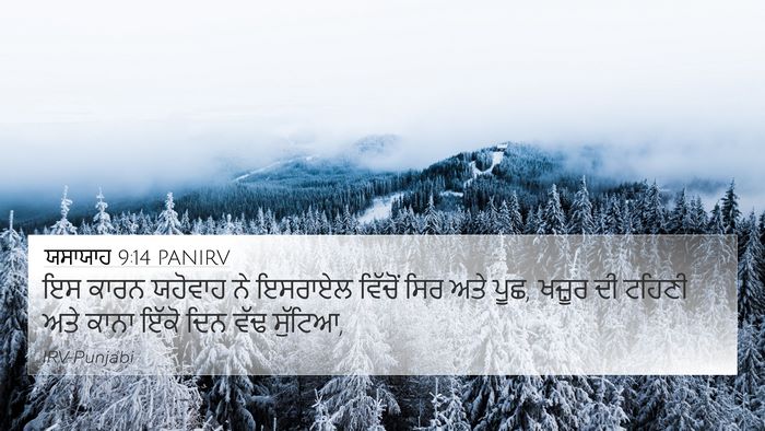 ਯਸਾਯਾਹ 9:14 PANIRV Bible Verse Image