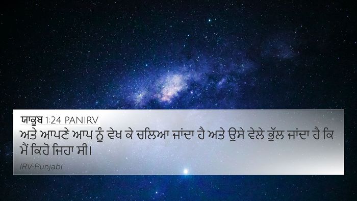 ਯਾਕੂਬ 1:24 PANIRV Bible Verse Image