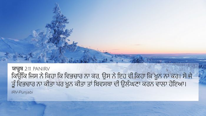 ਯਾਕੂਬ 2:11 PANIRV Bible Verse Image