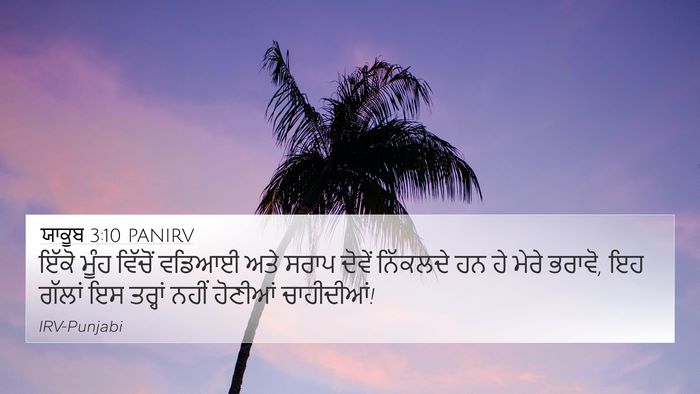 ਯਾਕੂਬ 3:10 PANIRV 4K Wallpaper - ਇੱਕੋ ਮੂੰਹ ਵਿੱਚੋਂ - 4K Wallpaper Bible Verse