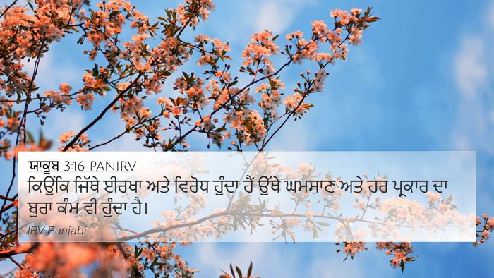 ਯਾਕੂਬ 3:16 PANIRV Bible Verse Image