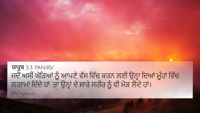 ਯਾਕੂਬ 3:3 PANIRV 4K Wallpaper - ਜਦੋਂ ਅਸੀਂ ਘੋੜਿਆਂ - 4K Wallpaper Bible Verse
