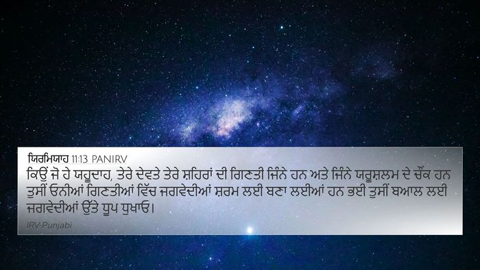 ਯਿਰਮਿਯਾਹ 11:13 PANIRV Bible Verse Image